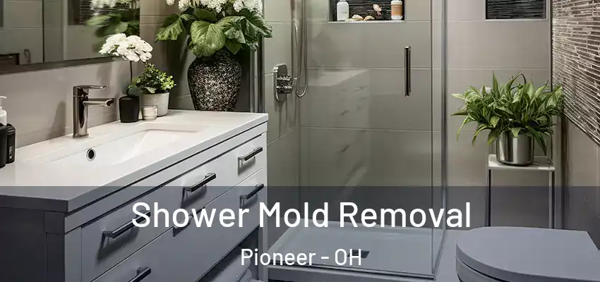  Shower Mold Removal Pioneer - OH