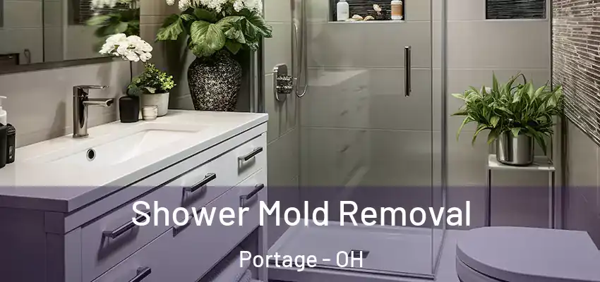  Shower Mold Removal Portage - OH