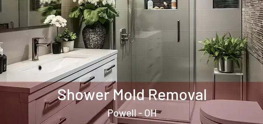  Shower Mold Removal Powell - OH