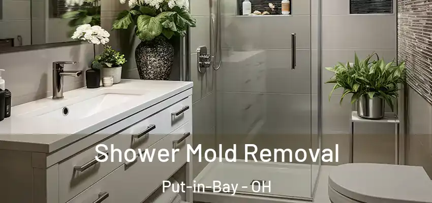 Shower Mold Removal Put-in-Bay - OH