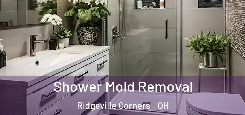 Shower Mold Removal Ridgeville Corners - OH