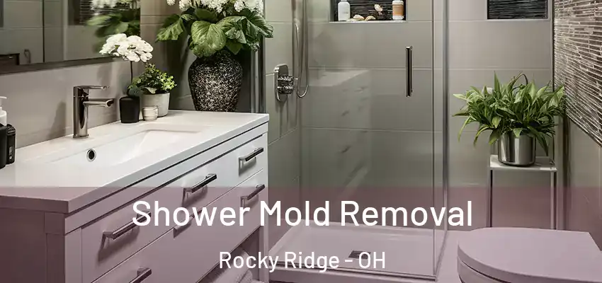  Shower Mold Removal Rocky Ridge - OH