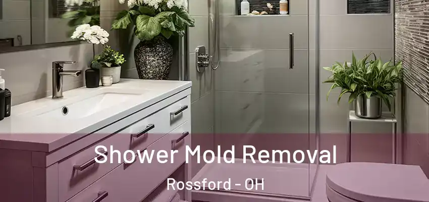  Shower Mold Removal Rossford - OH