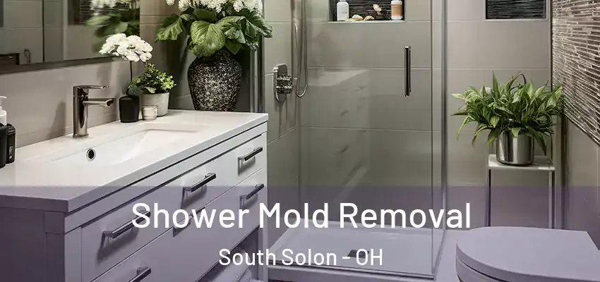 Shower Mold Removal South Solon - OH