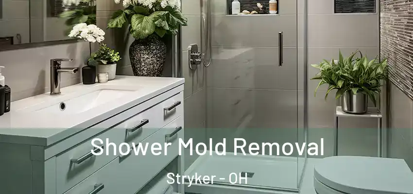Shower Mold Removal Stryker - OH