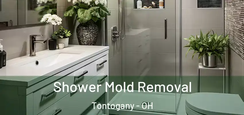  Shower Mold Removal Tontogany - OH