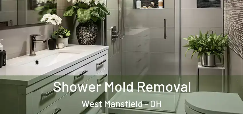 Shower Mold Removal West Mansfield - OH