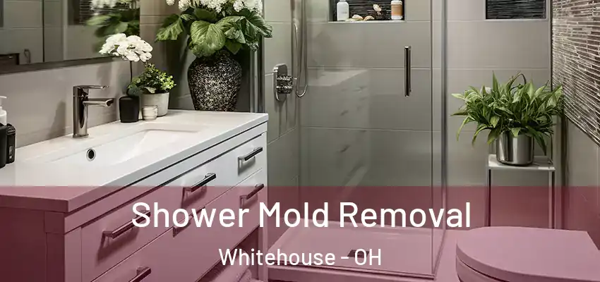  Shower Mold Removal Whitehouse - OH