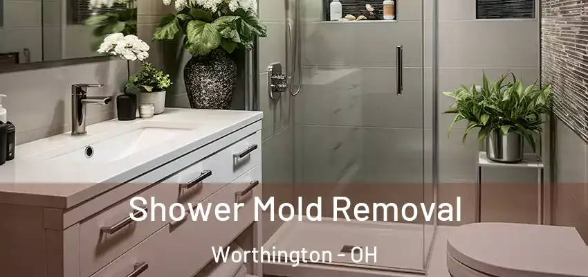  Shower Mold Removal Worthington - OH